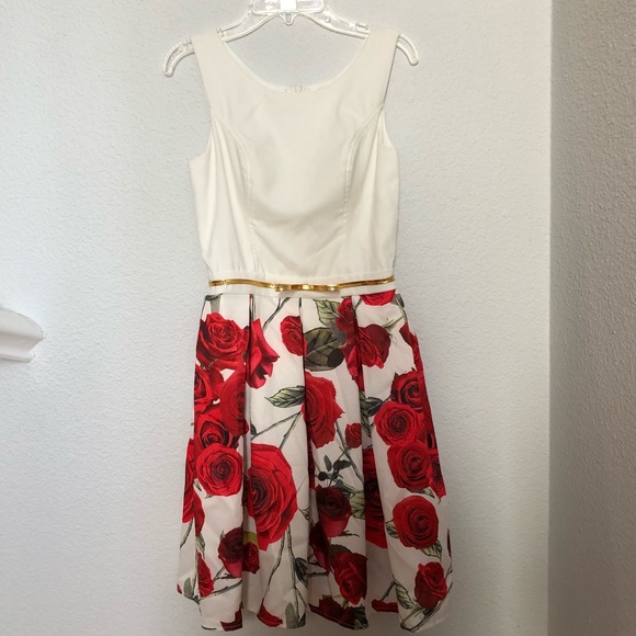 NEW Size Small White & Rose Dress - Picture 1 of 4